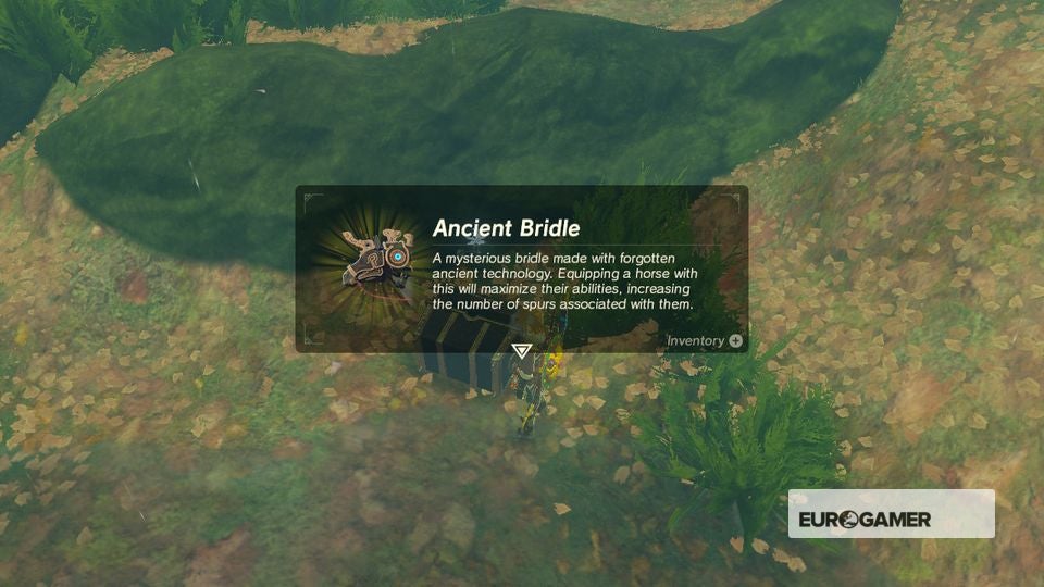 Zelda EX Ancient Horse Rumors How to get the Ancient Bridle and